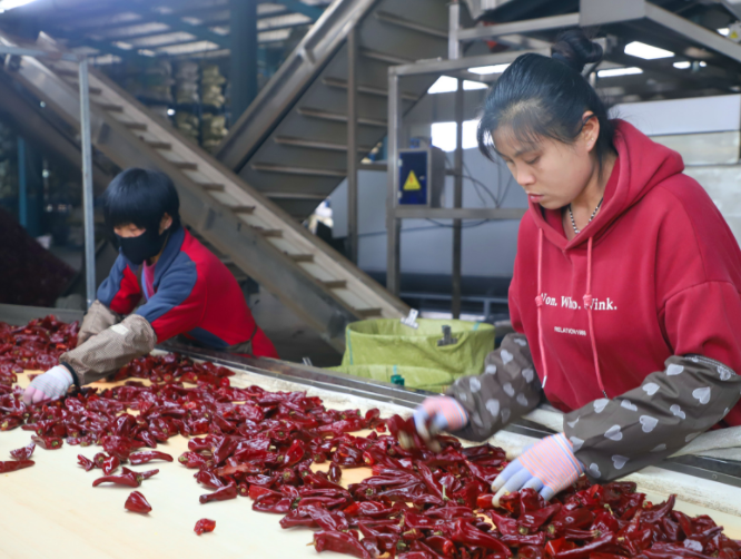 火紅產(chǎn)業(yè)助增收